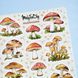 Стікери наклейки авторські MriyTaDiy MUSHROOMS 10х15 см MTD-0500 фото 3