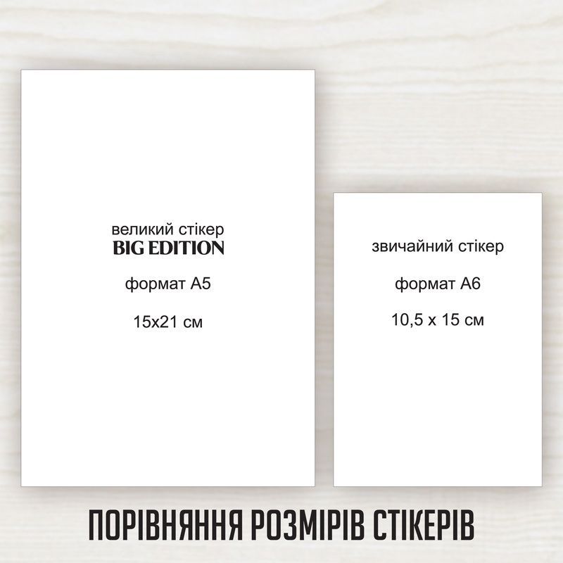 Стікери наклейки MriyTaDiy BIG EDITION-13 15х21 см MTD-0454 фото