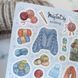 Стікери наклейки авторські MriyTaDiy KNITTING 10х15 см  MTD-0202 фото 3