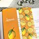 Двостороння закладка для книги "Lemons" MTD-0245 фото 2